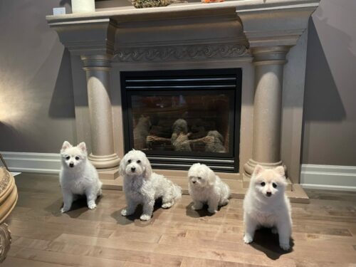 My posse