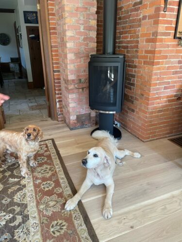 Lincoln and Jack.
